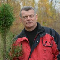 Отзыв от Сергей - DTV виза